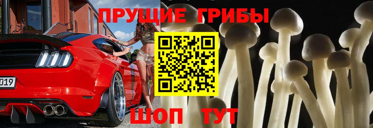 Михайловка  Псилоцибиновые грибы Psilocybine cubensis  Вход с VPN 